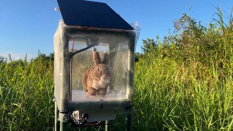 Robot rabbits the latest tool in Florida battle to control invasive Burmese pythons in Everglades
