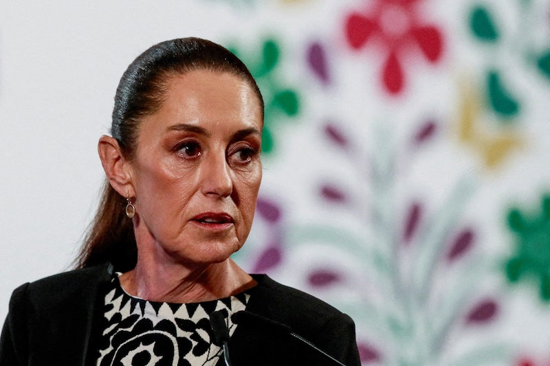 Mexico to reform constitution in wake of US terrorism designations